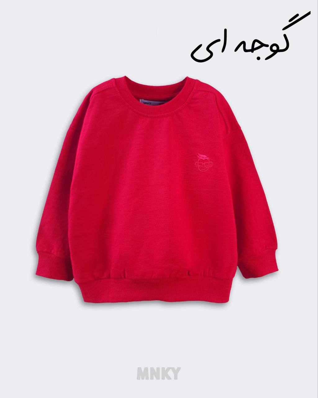 دورس بیسیک mnky کد1302 - تصویر 2