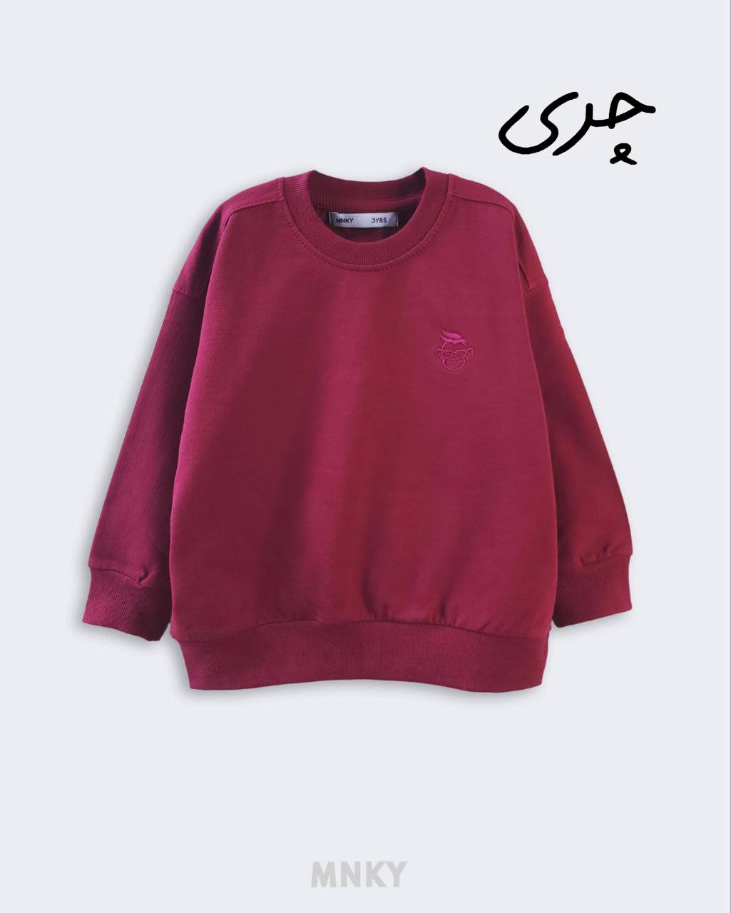 دورس بیسیک mnky کد1302 - تصویر 3