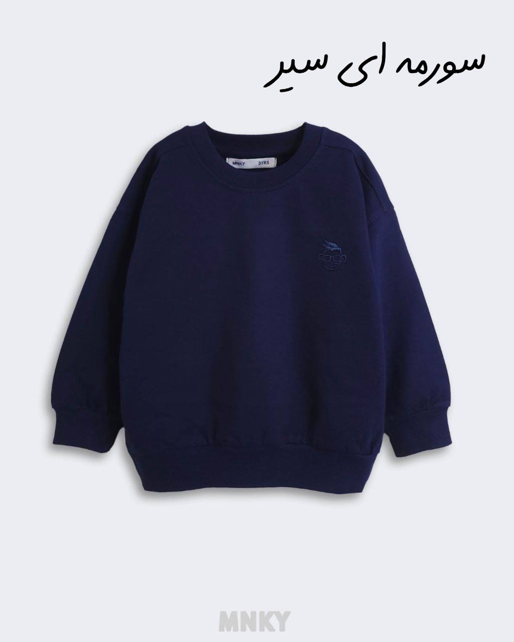 دورس بیسیک mnky کد1302 - تصویر 4