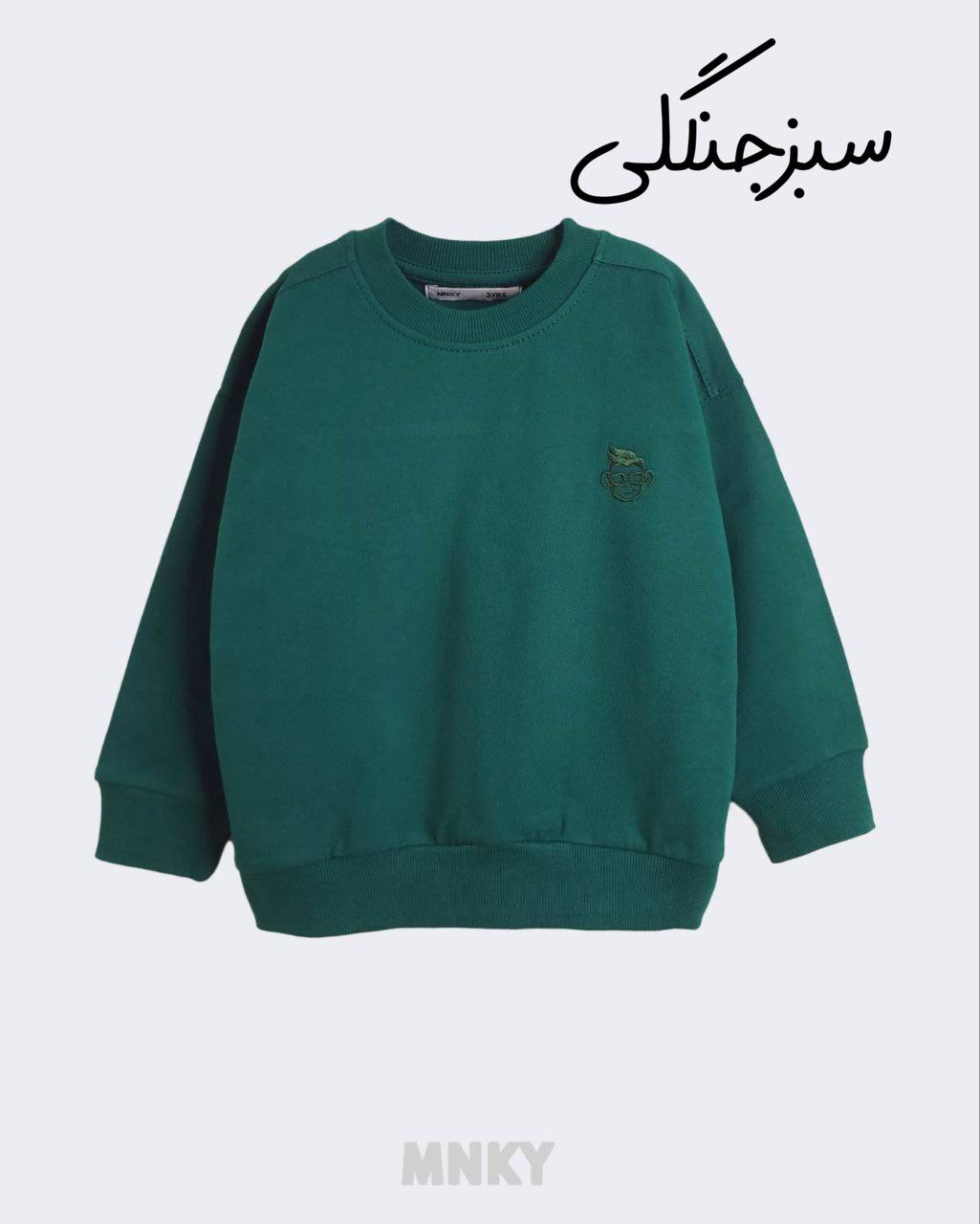 دورس بیسیک mnky کد1302 - تصویر 7